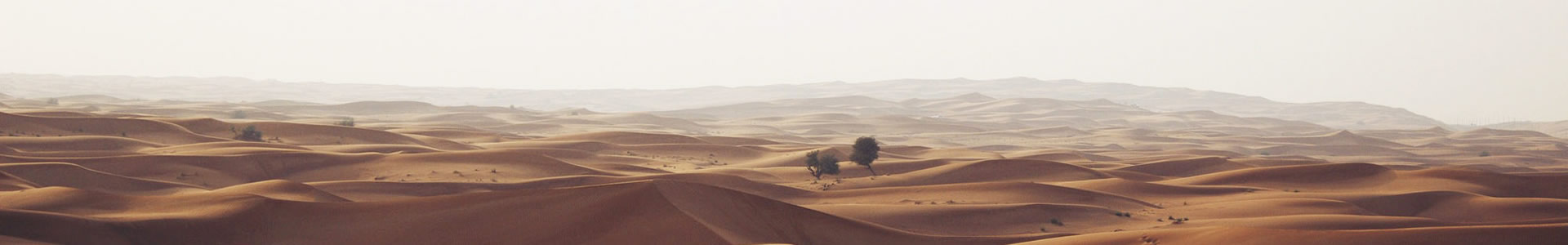 ػʵк쾭ó޹˾